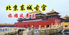 美女秘书蕾丝肛交啪啪啪9l中国北京-东城古宫旅游风景区